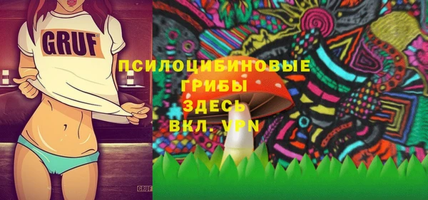 МДПВ Алексеевка