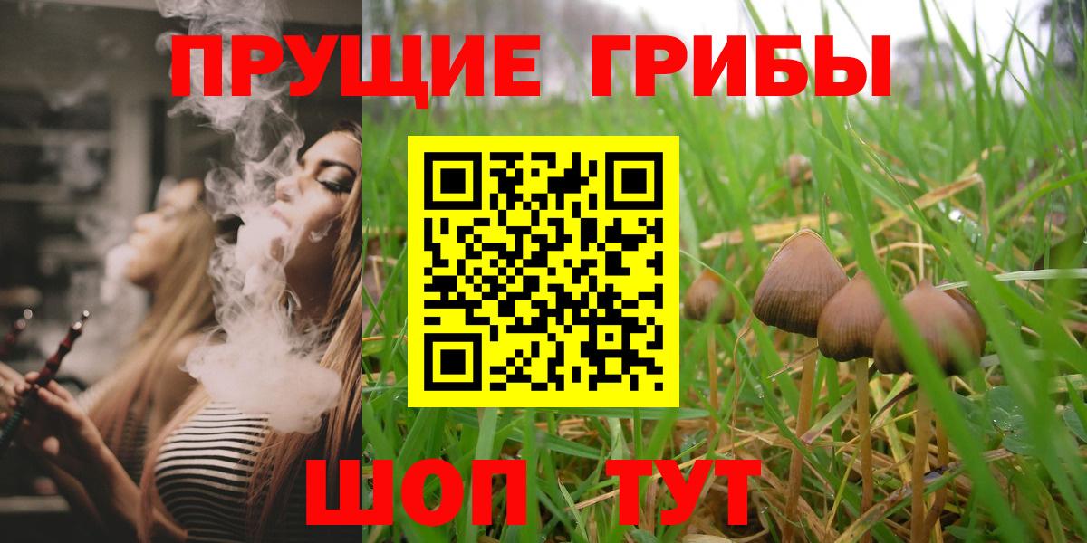 Псилоцибиновые грибы Psilocybine cubensis  Галлюциногенные грибы прущие грибы  Ливны  Вход с VPN 